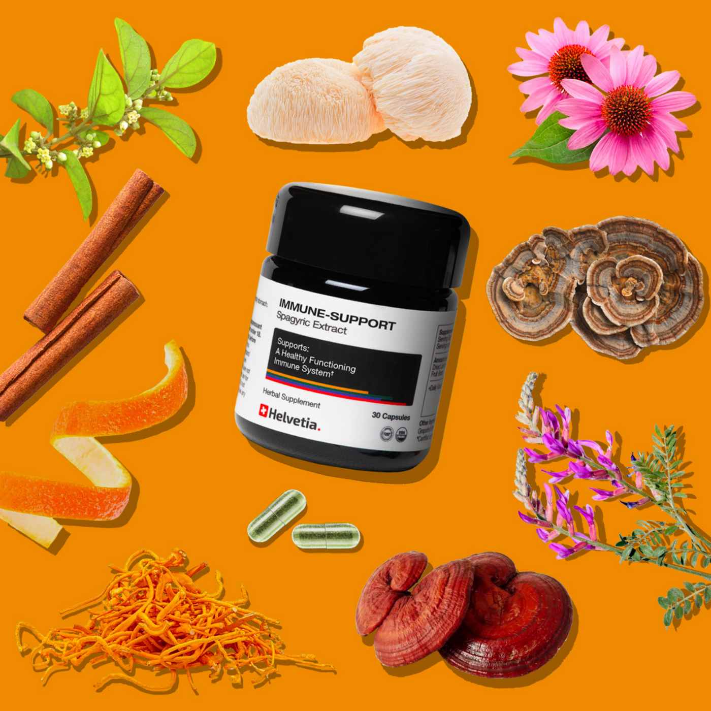 Immune Support Spagyric Extract SET